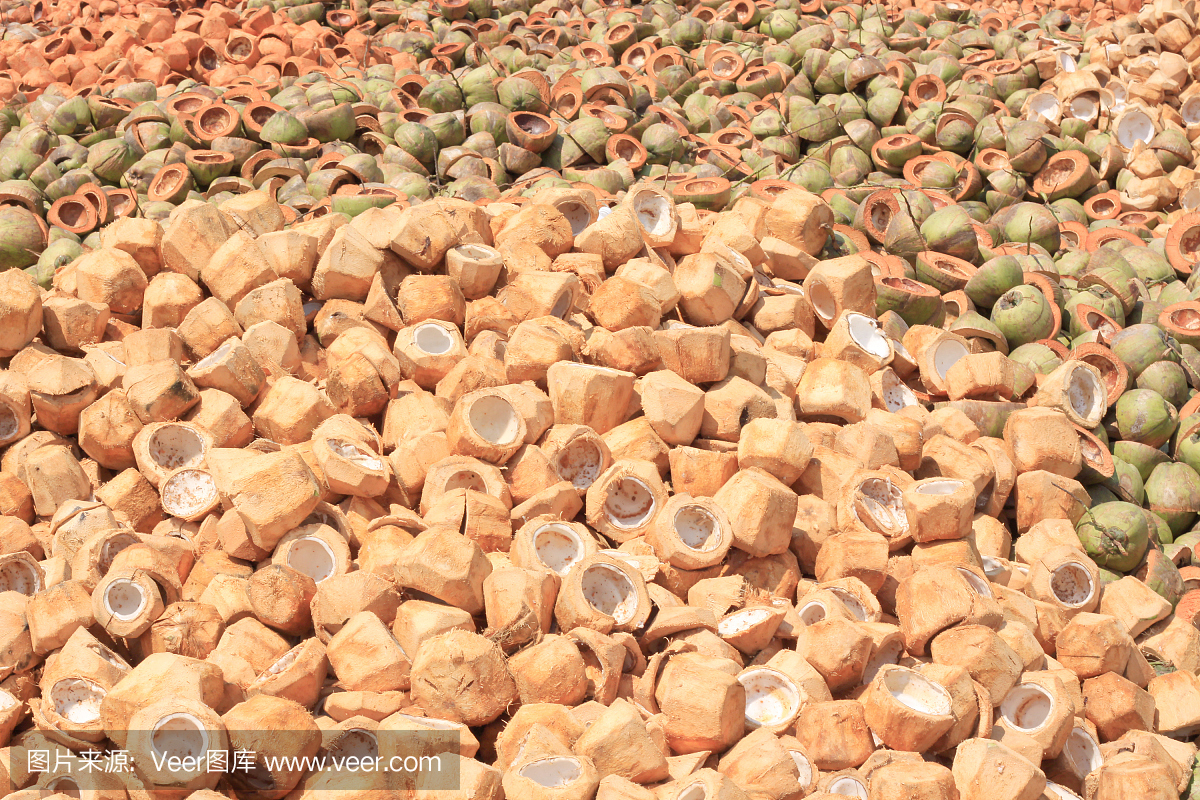 一堆廢棄的椰殼