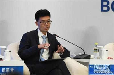 博鰲亞洲論壇&ldquo;數據:有待開發的巨大資源&rdquo;分論壇舉行